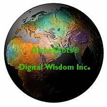 Middle East viewpoint